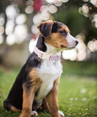 DOGWONG Cotton Hemp Dog Collar, Heavy-Duty Purple Dog Collar Adjustable Soft Natural Fabric Pet Dog Collar Cute Wedding Puppy Necklace for Small Medium Large Dogs - color: A: Light purple, size: X-Small