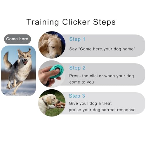 Pet Training Clicker with Wrist Strap - Dog Training Clickers for Puppy, Cat, Potty, Bird, Horse, Pet, Trainer Training Tools, Behavior Aids (Aqua + Jade Green + Blue + Lime Green)