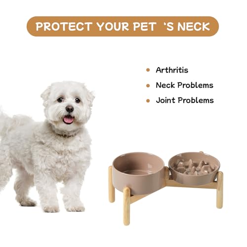 Havniva 6.1” Raised Slow Feeder Dog Bowls Set, 0.9 Cups Ceramic Slow Feeder Dog Bowl and 6.1” Dog Water Bowl with Elevated Wooden Stand Puzzle Dog Food Bowl for Small Dogs Anti-Gulping & Anti-Choking - color: 2 x Brown Coffee+Stand-C, size: 6.1inch