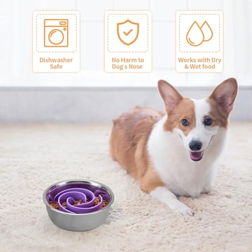 Slow Feeder Dog Bowls Insert, Bestalk Soft Silicone Slow Eating Feeder Insert with Suction Cups for Small, Medium and Large Dogs, Fit into Basic and Elevated Bowls - color: Purple, size: M