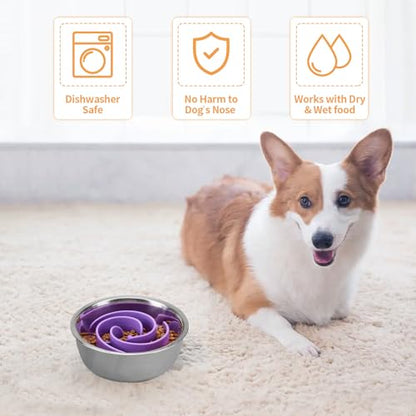 Slow Feeder Dog Bowls Insert, Bestalk Soft Silicone Slow Eating Feeder Insert with Suction Cups for Small, Medium and Large Dogs, Fit into Basic and Elevated Bowls - color: Purple, size: M