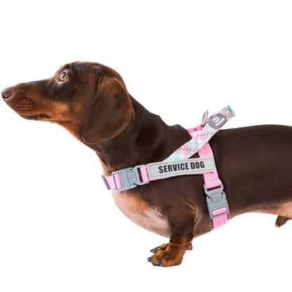 Service Dog Vest, No-Pull Service Dog Harness with 4 PCS Reflective Patches, Dog Vest Harness with Handle, Pet Harness for Small Medium Large Dogs in Training (Pink, M) - color: Pink Harness + 4 Patches, size: Medium (Chest: 22-29")
