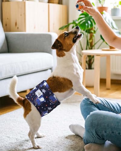 CuteBone Dog Diapers Male 4 Pack Puppy Wraps Reusable Doggie Belly Bands for Male Dogs Small Medium Large - size: XS(9"-11")
