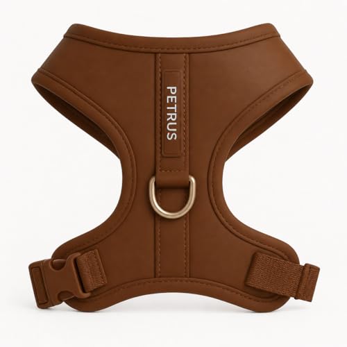Premium No-Pull Dog Harness Soft Neoprene & Breathable Mesh Vest with Front & Back Clip D-Rings Adjustable Lightweight Walking Harness for Puppies, Small & Medium Dogs (Bronze Brown Gold, XXS) - color: Bronze Brown Gold, size: XXS: Neck=9.1-13'', Chest=10