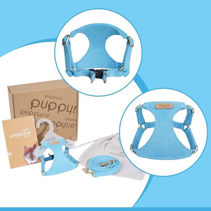 Puppytie xs Dog Harness with Multifunction Dog Leash,Soft Adjustable No Choke Escape Proof Pet Harness Vest,Ocean Blue,XS - color: Ocean Blue, size: XS(4.5-11lb）