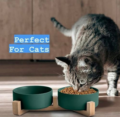 Ceramic Cat and Small Dog Bowl Set – Modern Indoor Small Size Pet Food and Water Bowls with Wood Stand – Non Slip Puppy Sized Feeding Station with Double Dishes (Green) - color: Green