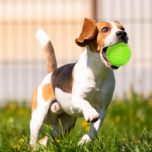 3.5” Squeaky Dog Toy Balls (6 Colors) Dog Toys Spikey Dogs Ball for Aggressive Chewers Heavy Duty Teething Large Medium Durable Dogs Balls - size: 3.5 Set of 6