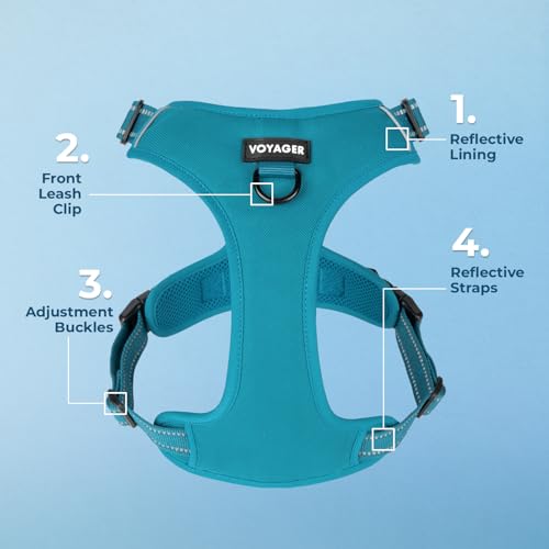 Voyager Dog Harness Dual Leash Attachment No-Pull Control Adjustable Soft but Strong Pet Harness for Medium and Large Dogs with 3M Reflective Technology, Turquoise Nylon, XS (Chest: 13-16") - color: Turquoise Nylon, size: XS (Chest: 13 - 16")