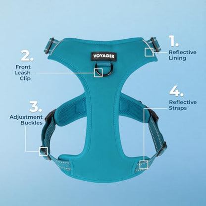 Voyager Dog Harness Dual Leash Attachment No-Pull Control Adjustable Soft but Strong Pet Harness for Medium and Large Dogs with 3M Reflective Technology, Turquoise Nylon, XS (Chest: 13-16") - color: Turquoise Nylon, size: XS (Chest: 13 - 16")