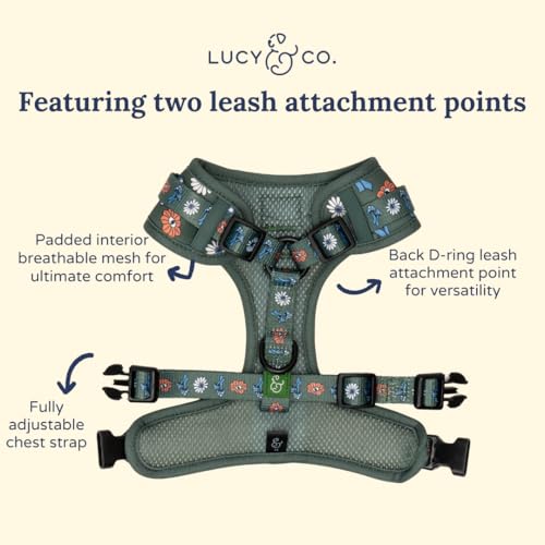 Lucy & Co. x Parks Project Power to the Parks No-Pull Dog Harness, Adjustable Front Clip Harness with Comfort Padding, X-Large - color: Power to the Parks, size: X-Large