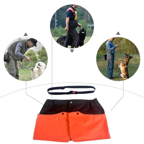 Handler Training Apron Dog Handler Training Apron Waterproof Nylon Pants Multi Pockets Waist Strap Dog Training Shorts Anti Tear, M - size: Medium