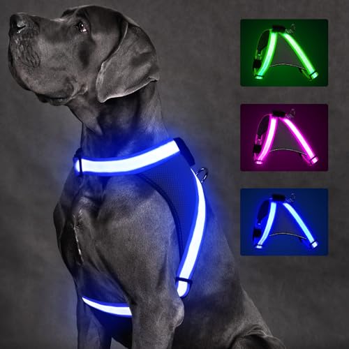 ChalkLit Light Up Dog Harness, No Pull Led Dog Harness Glow-in-The-Dark for Night Walking, USB Rechargeable Lighted Safety Vest for Medium Large Dogs, Adjustable Soft Mesh Fully Illuminated (Blue, L) - color: Blue, size: Large