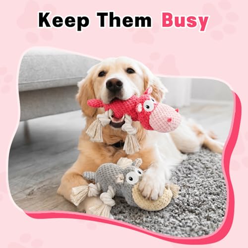 TOOPTATE Squeaky Dog Toy Set - 2-Pack Plush Dog Toys for Small Medium Large Dogs, Keep Them Busy (Gray & Pink, Medium) - color: Gray + Pink, size: Medium