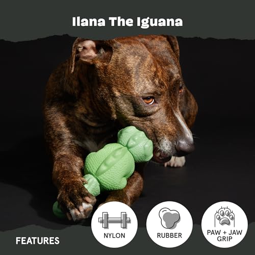 Barkbox Super Chewer Tough Dog Chew Toys for Aggressive Chewers, Dental Stimulating (Iguana - Large) - color: Illana the Iguana - Large, size: Medium/Large