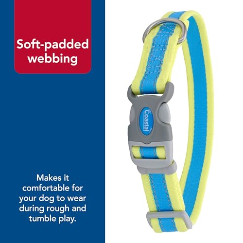 Coastal Pet - Pro - Reflective Adjustable Dog Collar, Aqua with Neon Yellow, 3/4" x 08"-12" - color: Aqua with Neon Yellow, size: 3/4" x 08"-12" (Pack of 1)