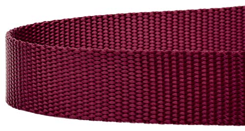 Country Brook Petz - Vibrant 17 Color Selection - Heavyduty Doublehandle Nylon Leash (6 Foot, 3/4 Inch Wide, Burgundy) - color: Burgundy