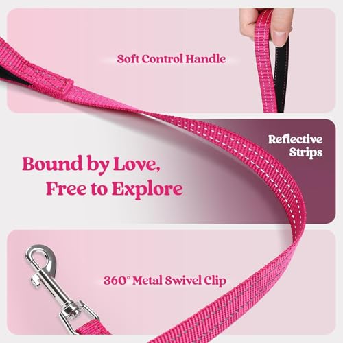 rabbitgoo Dog Harness Small Sized and Leash Set, Step in Soft Light Puppy Vest, Breathable Mesh Pet Harness, Reflective for Safe Easy Walking, Rosa Red XXXS - color: Rose Red, size: Xxxs (chest: 10.8 - 11.8")