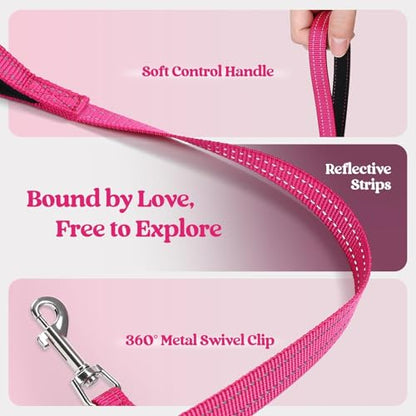 rabbitgoo Dog Harness Small Sized and Leash Set, Step in Soft Light Puppy Vest, Breathable Mesh Pet Harness, Reflective for Safe Easy Walking, Rosa Red XXXS - color: Rose Red, size: Xxxs (chest: 10.8 - 11.8")