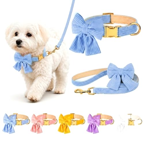 Dog Collar and Leash Set with Bowtie, Soft & Cute Puppy Collar, Cotton Puppy Collar with Adjustable Metal Buckle for Small, Medium Dog (Blue, Size S: Neck 10"-16") - color: Blue, size: S: Neck 10"-16" Leash 5 FT