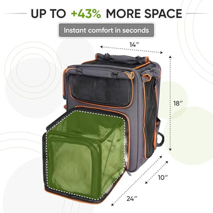 Premium Expandable Cat Carrier Backpack with Car Seat Belt Safety System – Rigid Frame Pet Carrier Backpack for Cats & Small Dogs up to 25 lbs – Breathable, Durable – Includes Bottle & Feeding Bowl - color: gray/orange
