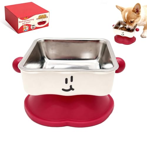 Elevated Cat & Small Dog Bowl - 30° Slanted Anti-Slip Feeding Bowl, Detachable Stainless Steel Design, Reduces Stomach Pressure, Comfortable Eating Posture, Easy to Clean, Fits Cats & Small Breeds