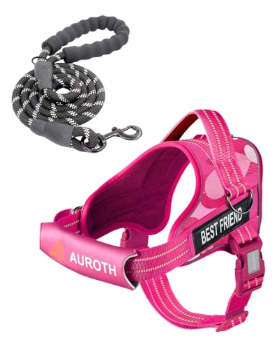 AUROTH Dog Harness and Leash Set, Soft Padded Service Dog Vest with 5.25FT Dog Leash, No Choke, Easy On Pet Vest, Adjustable Reflective No Pull Dog Harness for Large Dogs, Easy Walking and Training - color: Pink Camo, size: L(Neck:19.7"-25.6",Chest:26"-33