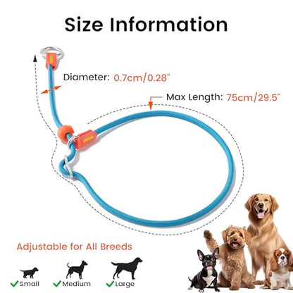 HowGo Slip Collar for Dogs,No Pull Adjustable Martingale Collar for Training, Nylon Rope,Dual Stopper and Durable Aluminum Hardware,Spring-Loaded,for Small Medium Large Dogs(MintGreen) - color: MintGreen