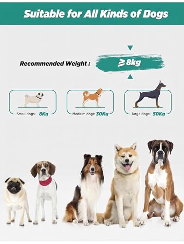 Hands Free Dog Leash, 5.9-8.2ft Multifunctional Crossbody Rope with Explosion-Proof Handle and Adjustable Training Hands Free Leash for Medium Dog Walking Running Hiking Travel Blue-Green - color: Teal