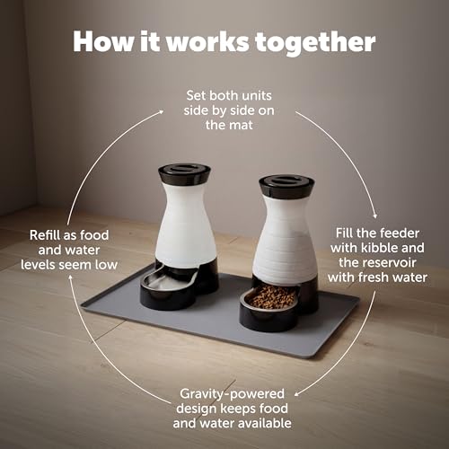 PetSafe Healthy Pet Food and Water Station with Waterproof Silicone Mat - Automatic Gravity Food and Water Dispenser for Cats and Dogs - BPA-Free Reservoir - Removable Stainless Steel Bowl - Medium - size: Medium