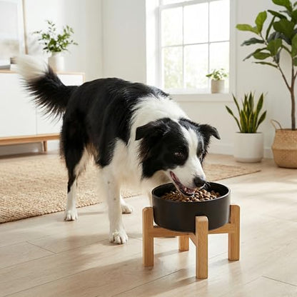 hjn Elevated Ceramic Dog Bowl 15°Slanted Raised Dog Bowl with Bamboo Stand for Small Medium Dogs and Cats, Pet Feeder -7.6-Cup (1800ml)-Black - color: Black, size: 7.6Cup