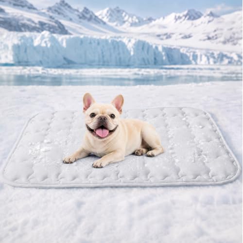 Luciphia Premium Dog Cooling Mat Non-Slip Q-MAX>0.5 Self-Cooling Pad for Small Pet Cat Indoor Portable Kennel Puppy Bed for Summer Crate Pad for Dog Washable Light Grey 20x30 inches - color: Light Grey, size: 20x30 inches