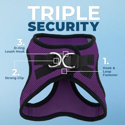 Voyager Step-in Air All Weather Mesh Harness and Reflective Dog 5 ft Leash Combo with Neoprene Handle, for Small, Medium and Large Breed Puppies by Best Pet Supplies - Purple, X-Large - color: Leash Harness Set (Purple Base), size: XL (Chest: 20.5 - 23")