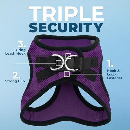 Voyager Step-in Air All Weather Mesh Harness and Reflective Dog 5 ft Leash Combo with Neoprene Handle, for Small, Medium and Large Breed Puppies by Best Pet Supplies - Purple, X-Large - color: Leash Harness Set (Purple Base), size: XL (Chest: 20.5 - 23")