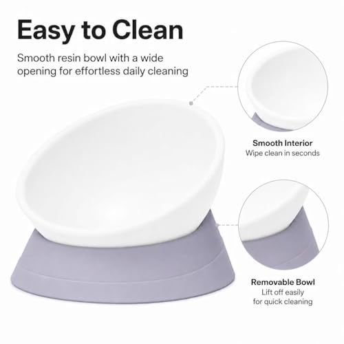 Tilted Angle Dog Bowls - Slanted Resin Dog Cat Food Bowl, Non-Slip Pet Feeder with Detachable Silicone Stand (Gray, L - 4 Cup) - color: Gray, size: L - 4 Cup