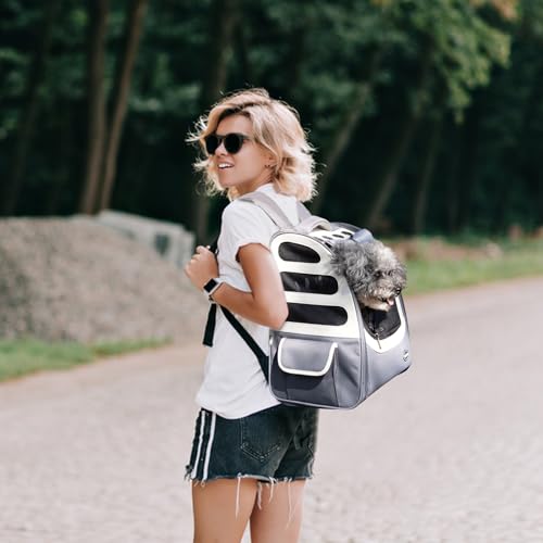 Dog Backpack, Ventilated Pet Hiking Backpack Travel Bag, Airline Approved Cat Backpack for Travel, Hiking, Outdoor Use(Gray) - color: Gray
