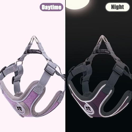 Puppy Harness and Leash Set,No Pull Adjustable Step in Soft Mesh Vest Harness,Easy Walk Reflective Pet Harness with Padded Handle for Walking Training Small Medium Large Dogs and Cats (Purple, XS) - color: Purple, size: XS