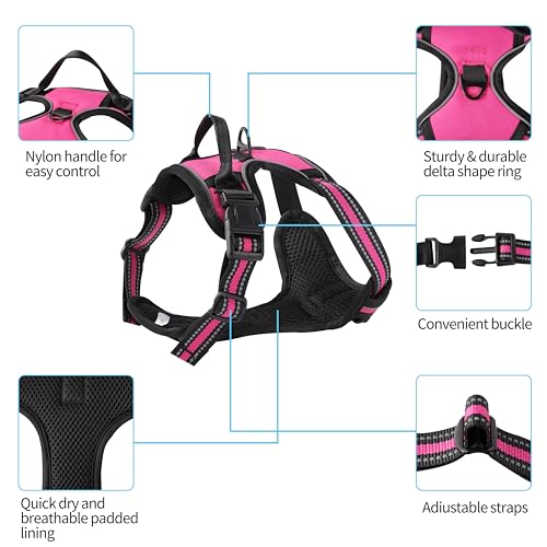 Hot Pink No-Pull Dog Harness with 2 Leash Clips，Soft Padded Vest for Large Dog, Adjustable Reflective Dog Vest Easy to Put on and Take Off, (Neck: 17"~24", Chest: 24"~32",Hot Pink L) - color: Hot Pink, size: Large