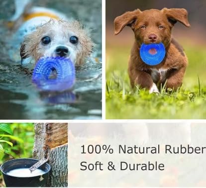 Interactive Dog Chew Ring Toy with Sound, Dental Cleaning, Durable Textured Surface (Purple, Small) - color: Purple, size: Small