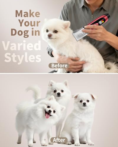 iBTC Dog Shaver Clippers Low Noise Rechargeable Cordless Electric Quiet Hair Clippers Set for Dogs Cats Pets Features a Ceramic Blade Head that is Removable (red)