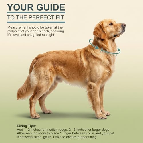 DogTraxs Light Duty Biothane Dog Collar, Lavender Purple, 1" W x 23-26" L | Extra Large Dogs, Waterproof, Quick Release Adjustable Buckle - color: Lavender Purple, size: 1" x 23-26"