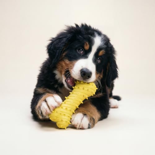 Playology Dog Toys | Teething Bone for Large Puppies and Young Dogs | Chicken Scented Jumbo Dog Bone Chew Toy | Teething Puppy Essentials - size: Jumbo, style: Chicken