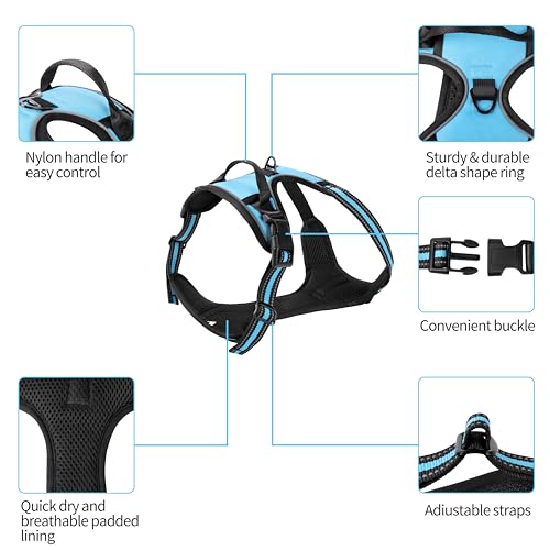 Blue No-Pull Dog Harness with 2 Leash Clips，Soft Padded Vest for Small Dog, Adjustable Reflective Dog Vest Easy to Put on and Take Off,(Neck: 13"~17", Chest: 17"~21",Blue Small) - color: Blue, size: Small