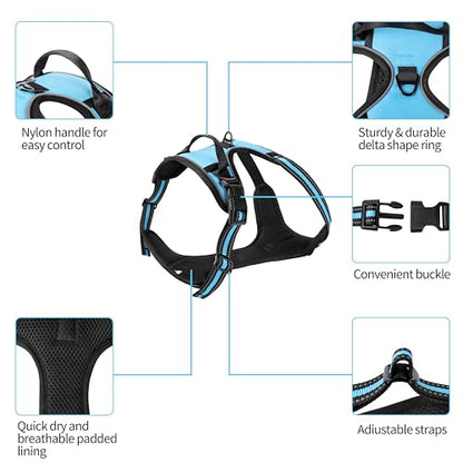Blue No-Pull Dog Harness with 2 Leash Clips，Soft Padded Vest for Small Dog, Adjustable Reflective Dog Vest Easy to Put on and Take Off,(Neck: 13"~17", Chest: 17"~21",Blue Small) - color: Blue, size: Small