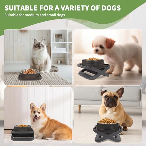 Raised Dog Bowls for Small & Medium Dogs, Adjustable Elevated Stainless Steel Food or Water Bowl, No Spill Non-Slip Dog Feeder Stand for Pets - size: Single - A