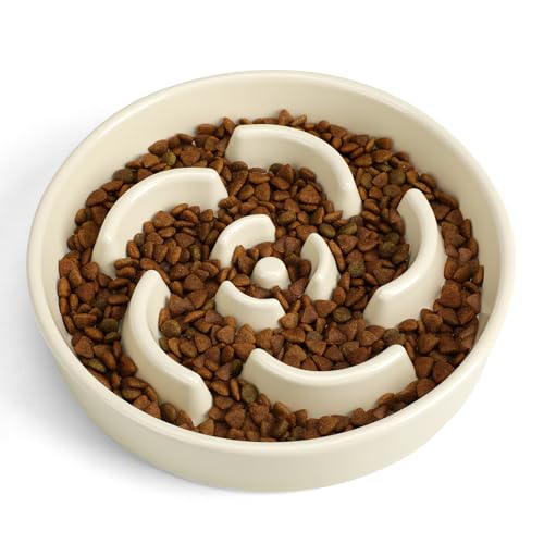 Slow Feeder Dog Bowl, Ceramic 2 Cups Dog Food Bowls for Small, Medium, and Large Breed, Anti-Slip Maze Puzzle Food Dish to Slow Down Eating (White, 2 Cups) - color: Flower - White