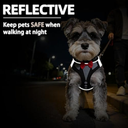 PUPTECK Dog Harness and Leash Set for Small Medium Dogs No Pull Step-in Soft Mesh Puppy Cat Vest Harnesses Reflective at Night, Black Bow Tie, S - color: #3 Black(Bow Tie), size: S(CHEST 14.5"-16", 6.6-14 lbs)