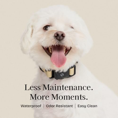 Fei & Eve VERO Dog Collar, Champagne, Large | MagEase Magnetic Buckle, Waterproof PVC, Odor Resistant, Easy Clean, Heavy Duty - color: Champagne, size: L