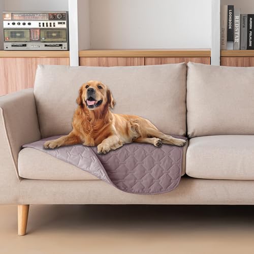 gogobunny 100% Double Sided Waterproof Dog Blanket Soft Pet Bed Cover Reversible Protect Furniture Couch Sofa Car for Puppy Large Dog Cat (Dark Sea Fog/Light Sea Fog, 30x30 Inch (Pack of 1)) - color: Dark Sea Fog/Light Sea Fog, size: 30x30 Inch (Pack of 1