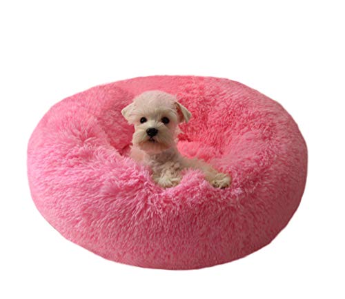 Modern Soft Plush Round Pet Bed for Cats or Small Dogs, Mini Medium Sized Dog Cat Bed Self Warming Autumn Winter Indoor Snooze Sleeping Cozy Kitty Teddy Kennel (24'' D x 8'' H, Hot Pink) - color: Hot Pink, size: Medium 24''