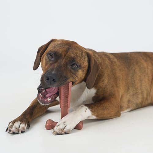 SPOT Bam-Bones Plus Coffee Wood T-Bone Dog Chew Toy, Beef Flavor, Nylon and Coffee Wood Fiber Blend, Durable Chew for Heavy Chewers and Dogs Under 90 lbs, Non-Splintering Dental Chew, 7 Inch - size: 7 Inch (Pack of 1)